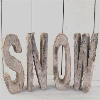 Birch Wood SNOW Word Set detail page