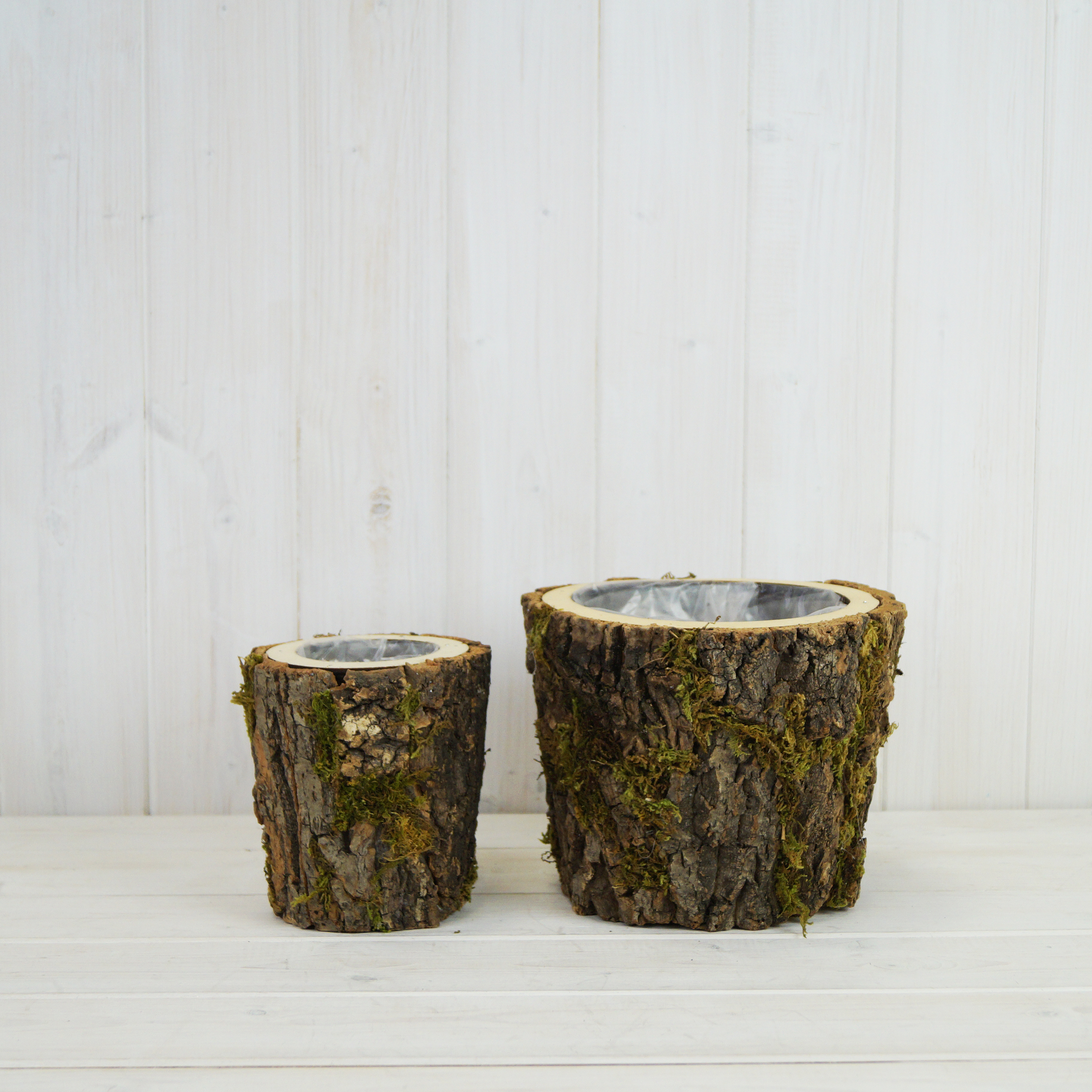 S/2 Round Mossed Bark Wooden Pot