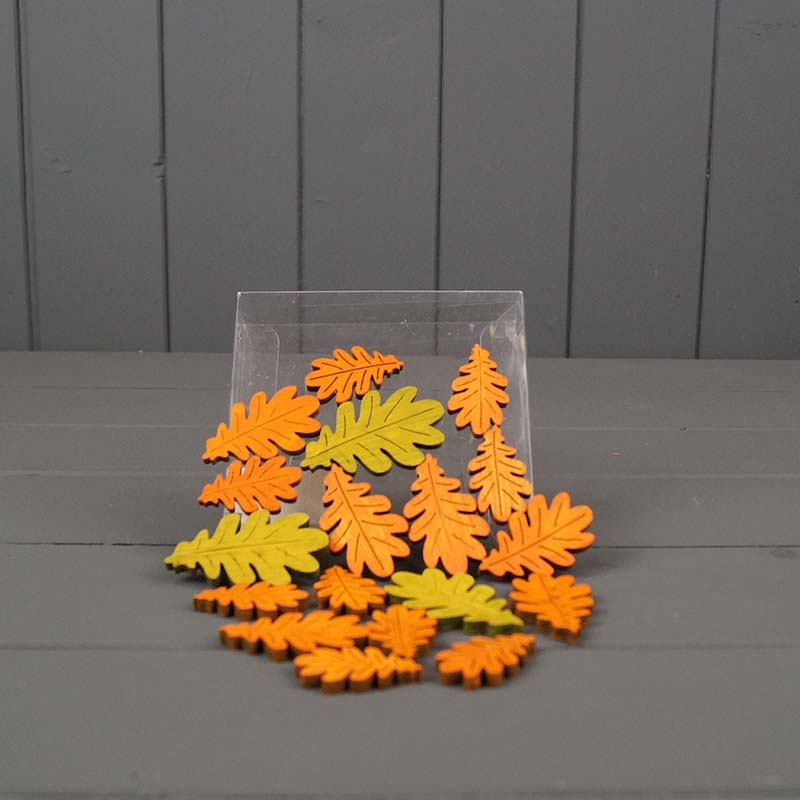 6cm mixed box of leaves