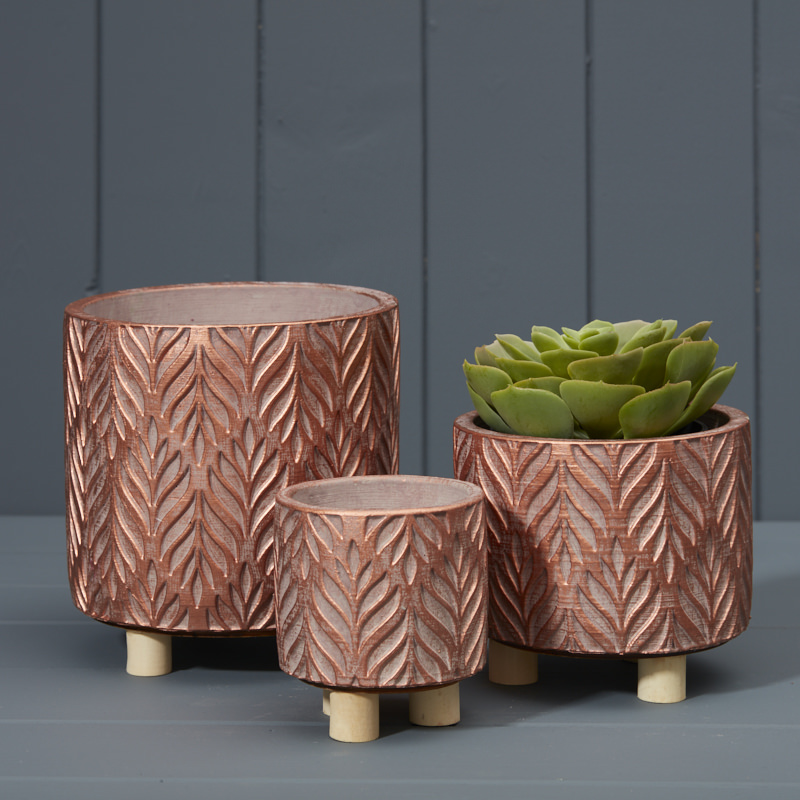 Set of Three Copper Pots with Feet and Plant